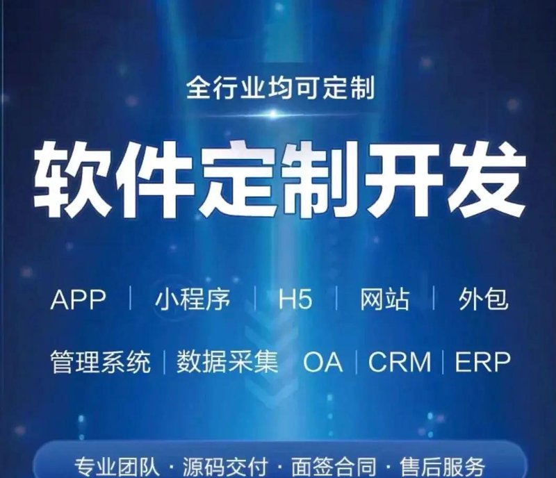 软件定制开发：企业数字化转型的关键伙伴